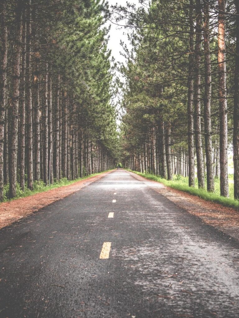 409a0202 F38a 356a 93fd Bfade86f58aa 1 768x1024