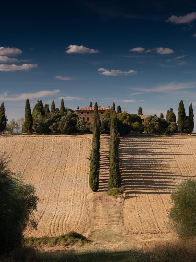 Aeaaa7a9 8f1e 3042 84c6 D0a45e983750 1 768x1024