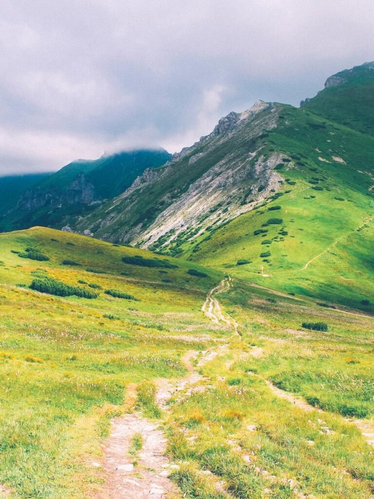 Ba922057 D78a 3488 8fdd 9fda57d82411 1 768x1024