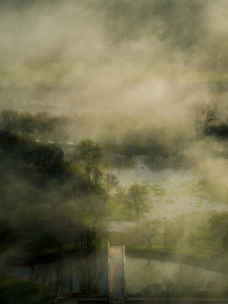 D0e1d5ae A778 3822 8870 A7280ff6216a 1 768x1024