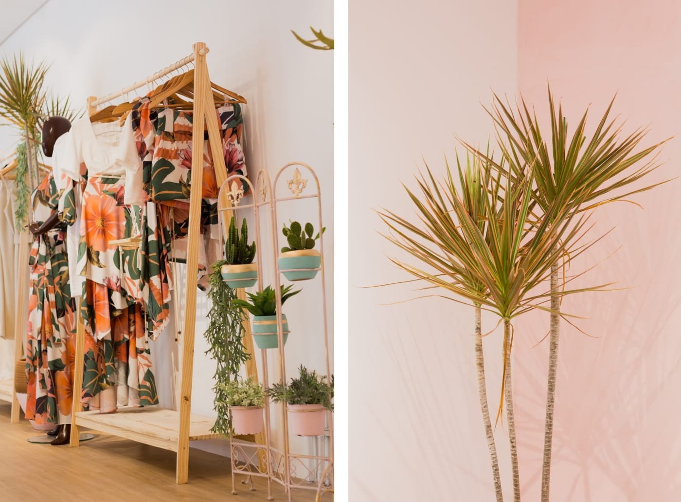 Pexels Sid Maia 3489129 1 1