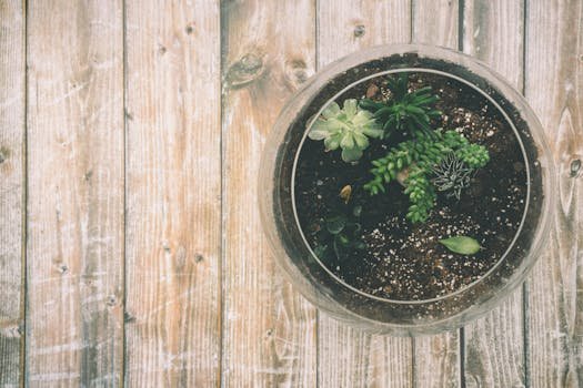 Top view of a beautiful succulent terrarium in a glass bowl on wooden background.